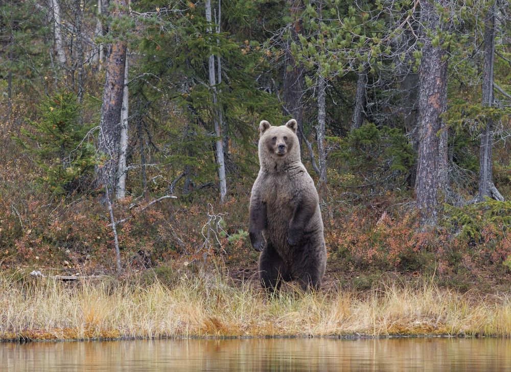 Photograph by Анатолий