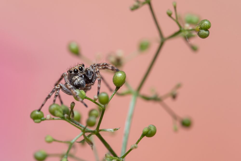 Фотография автора Krisztina Mácsai