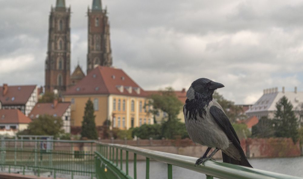 Photograph by Светлана Мельник