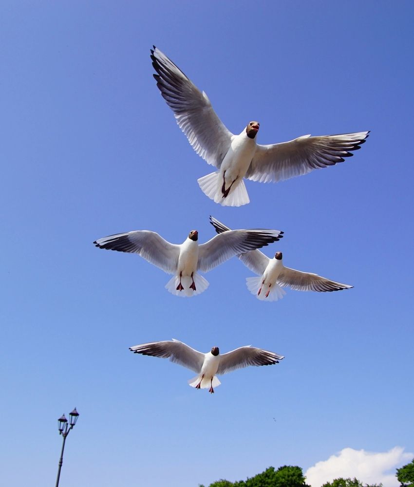 Photograph by Анна Васильева