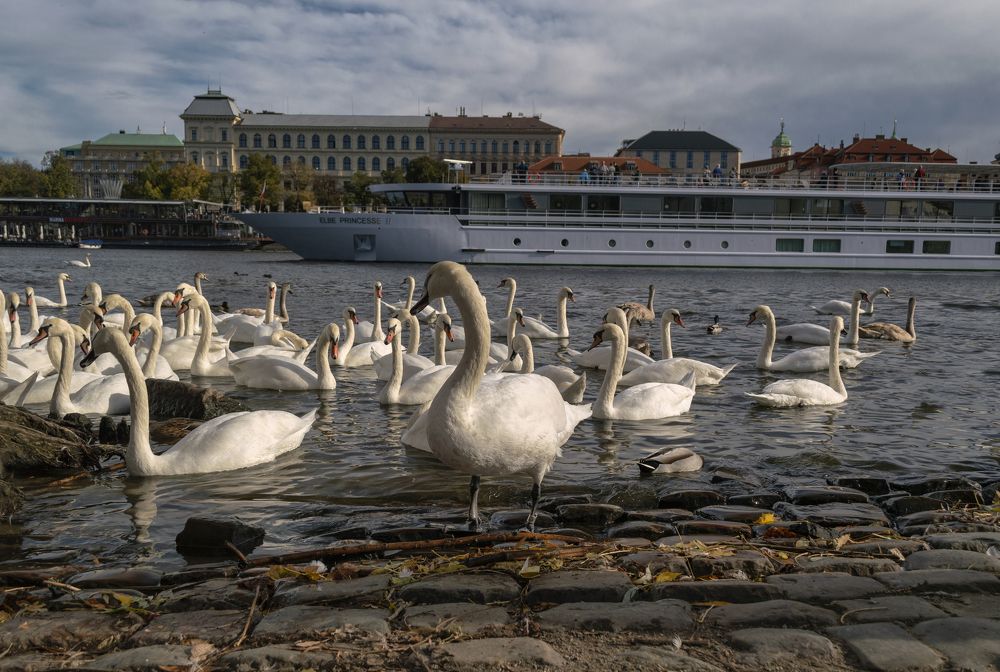 Photograph by Светлана Мельник