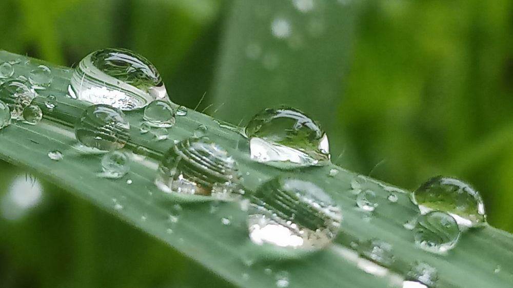 Photograph by Ambewadikar sourabh