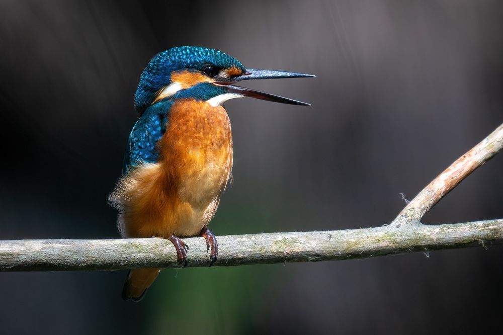 Photograph by Вячеслав Ладанов