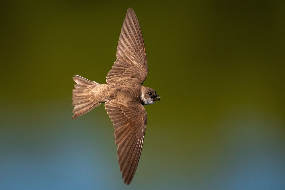 Photograph by Вячеслав Ладанов