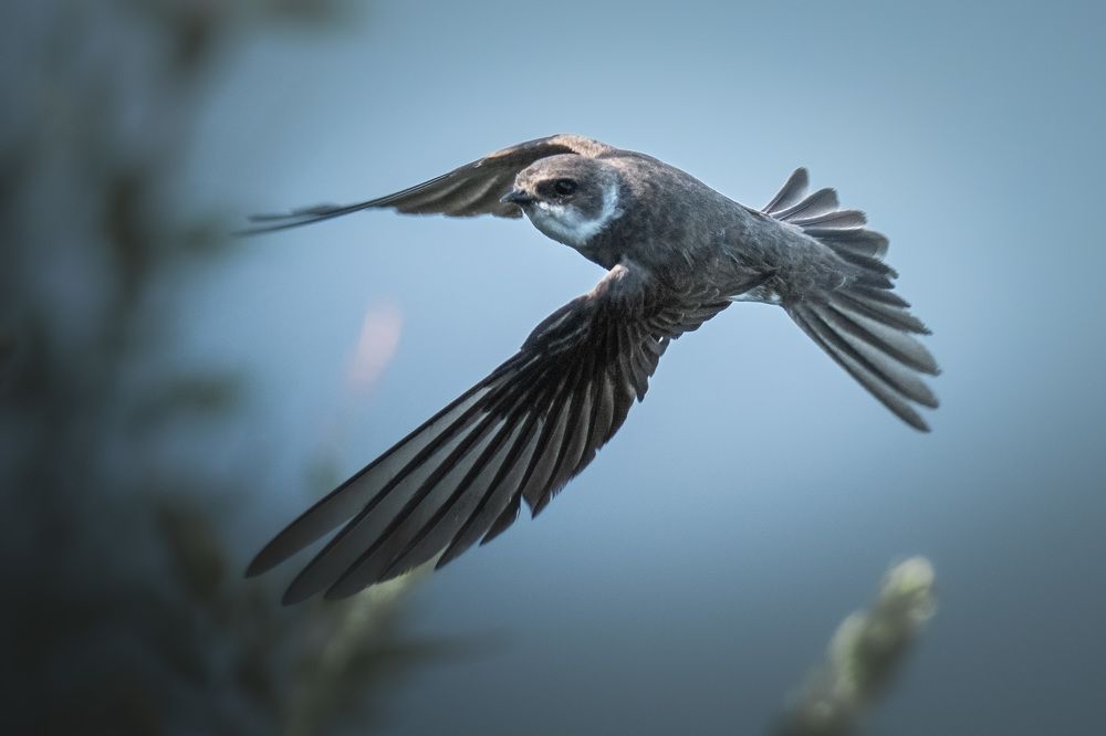 Photograph by Вячеслав Ладанов