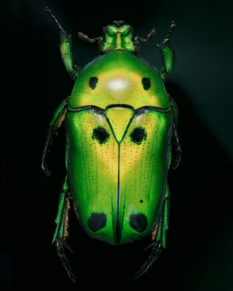 Photograph by Jose CO