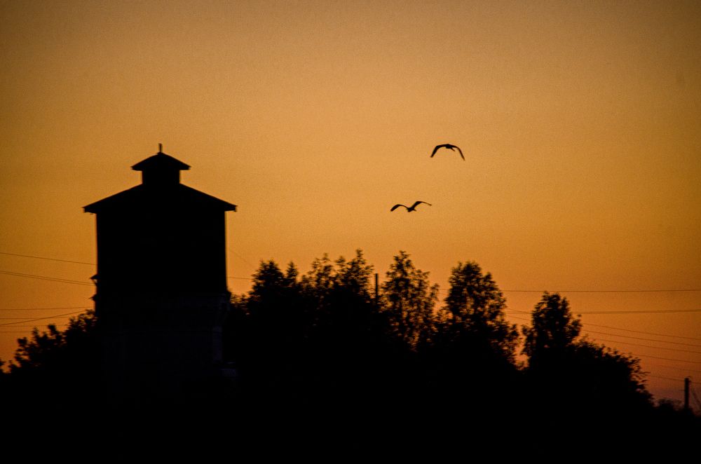 Photograph by Анна Потапова