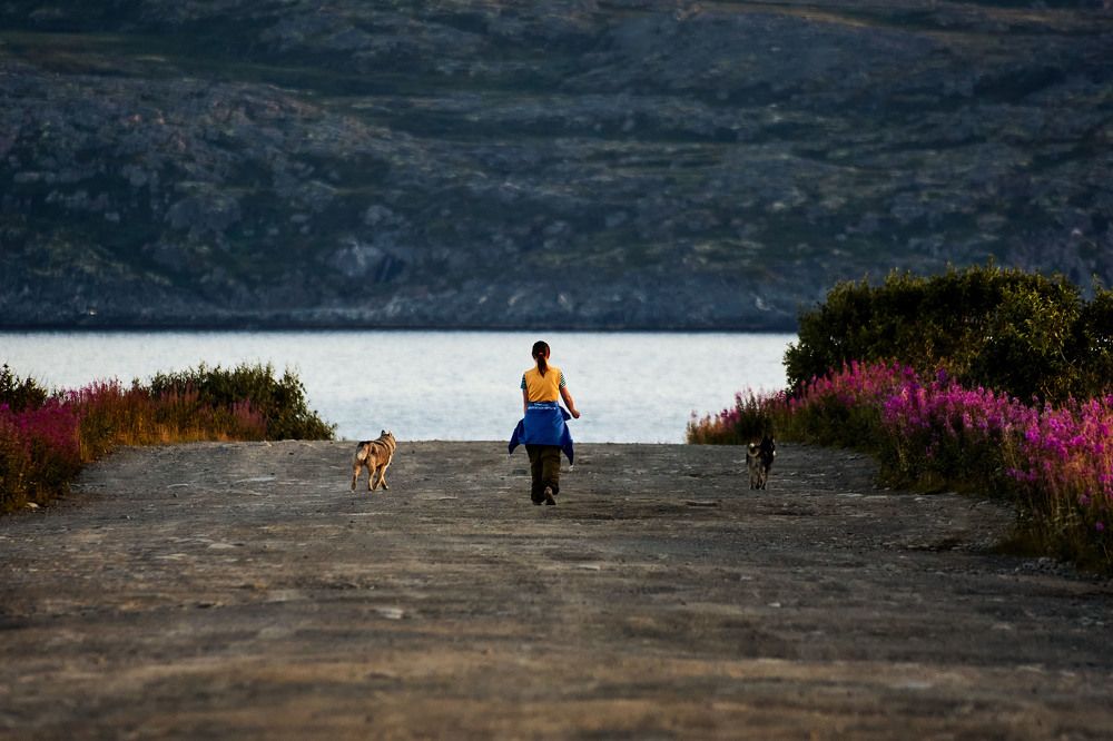 Фотография автора Totoro