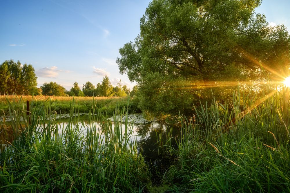 Photograph by Нуждин Андрей