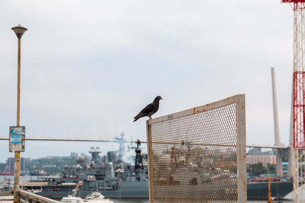 Photograph by Ирина Рыжова