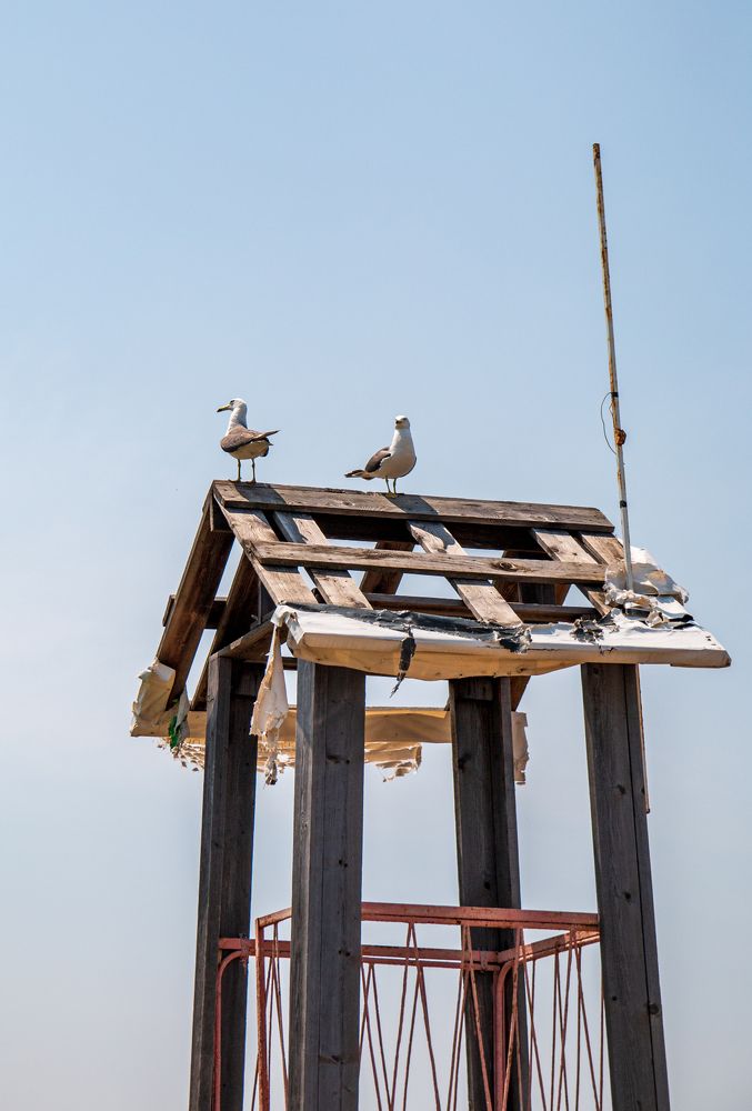 Photograph by Ирина Рыжова