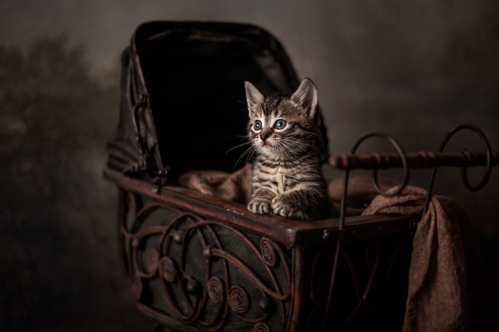 Photograph by Gertrude Goené