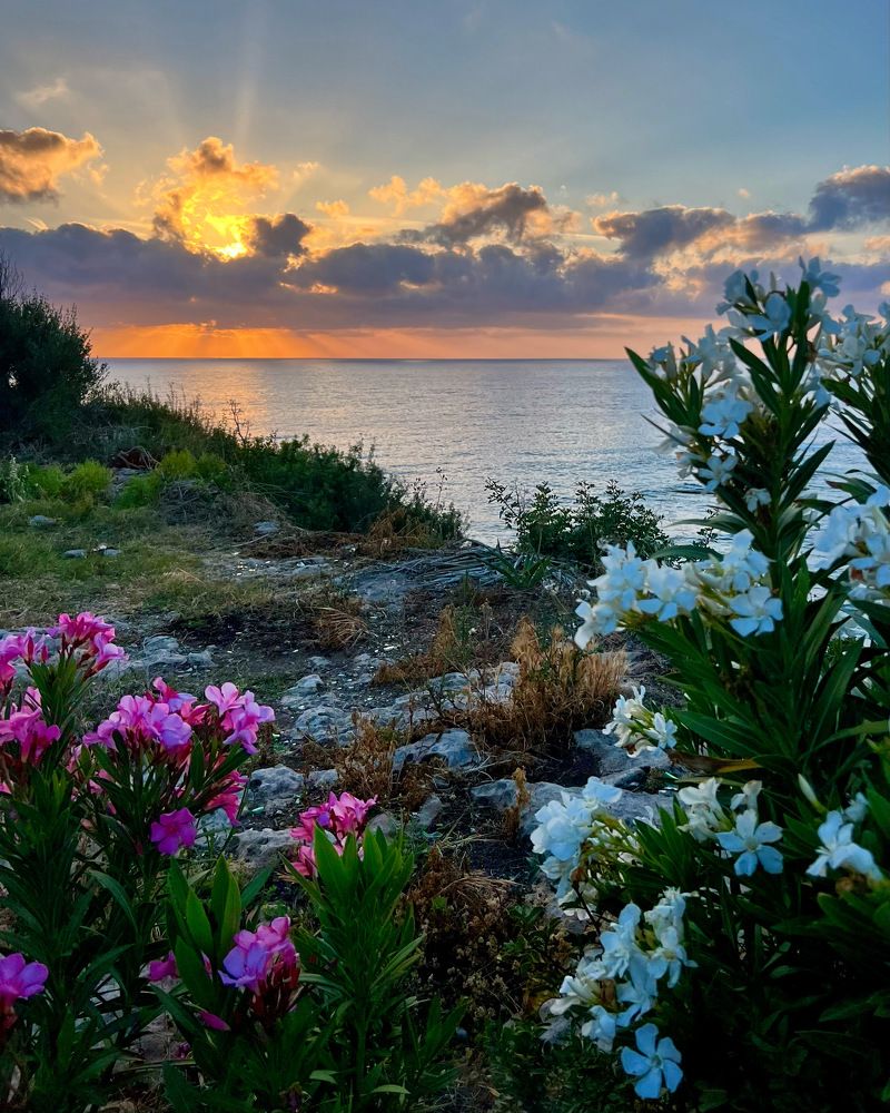 Photograph by Шестакова Наталья