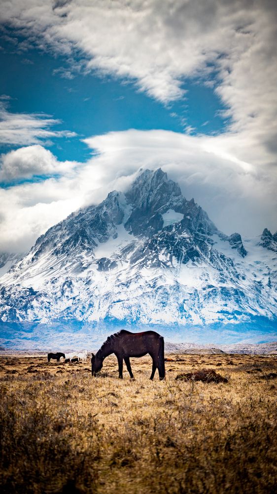 Photograph by Leonardo Rafael Herrea Quezada