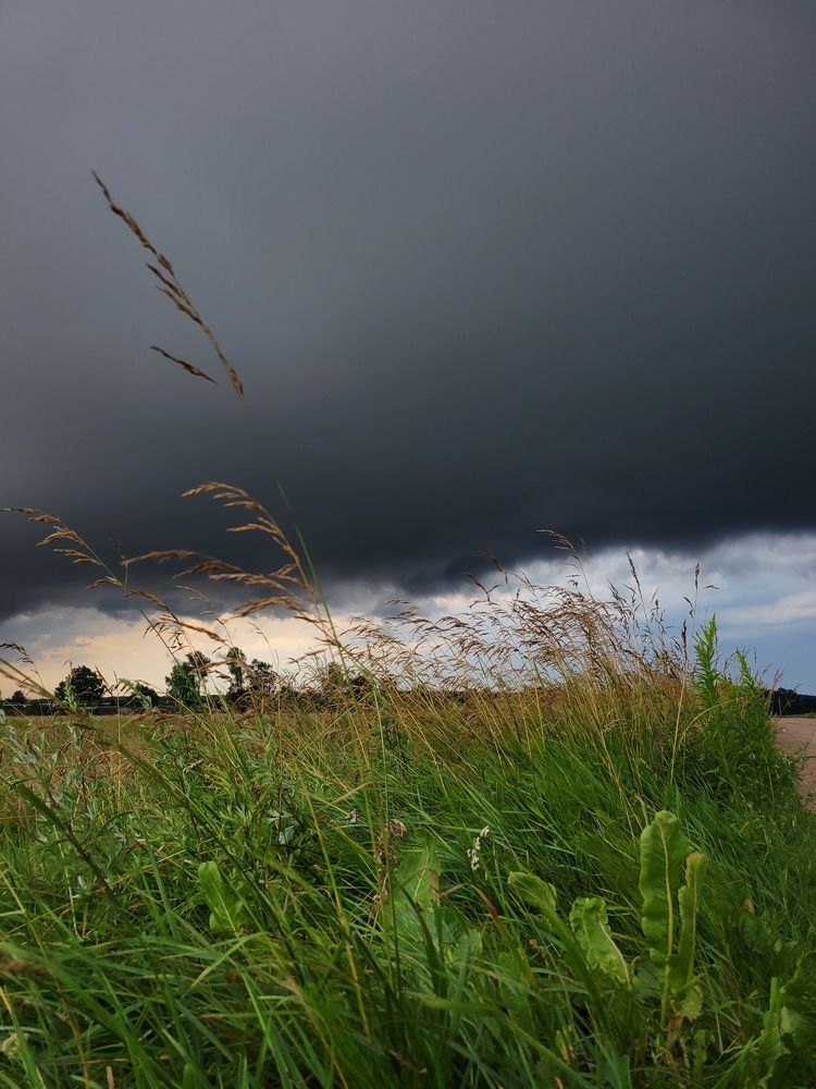 Photograph by Алина