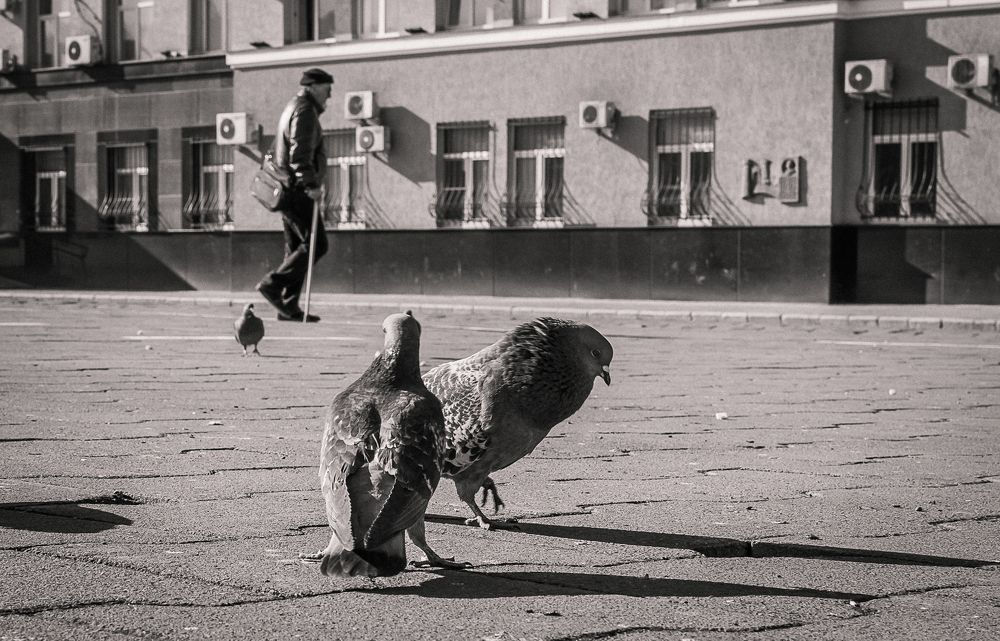 Фотография автора Оксана Белозерская