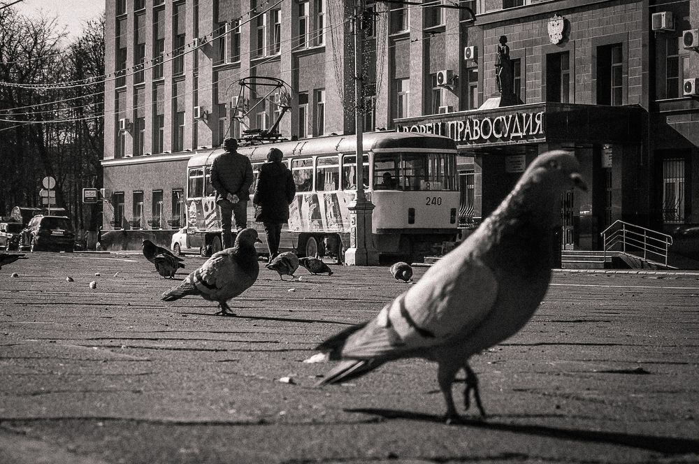 Фотография автора Оксана Белозерская