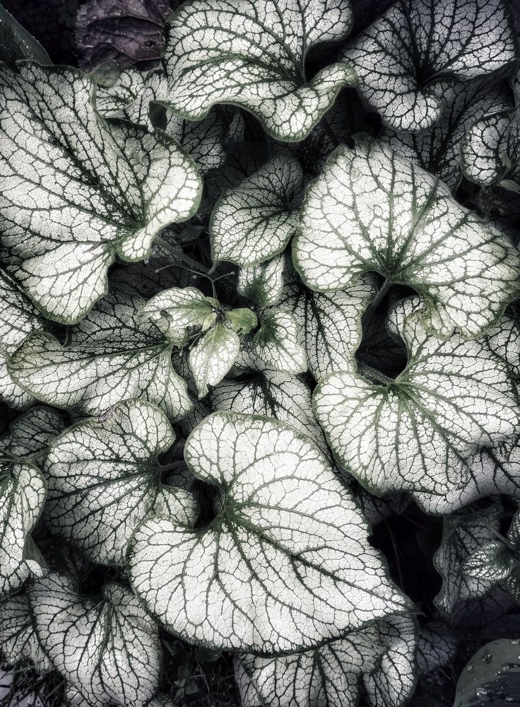 Photograph by Людмила М