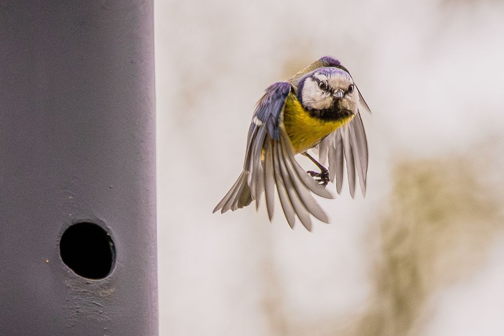 Photograph by Юлия Калугина
