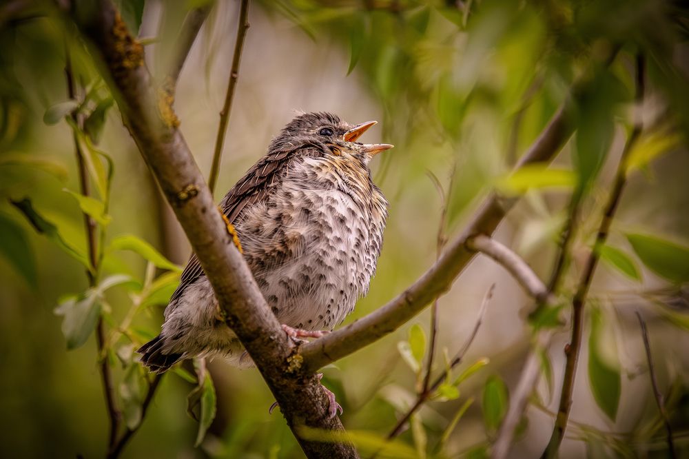 Photograph by Юлия Калугина