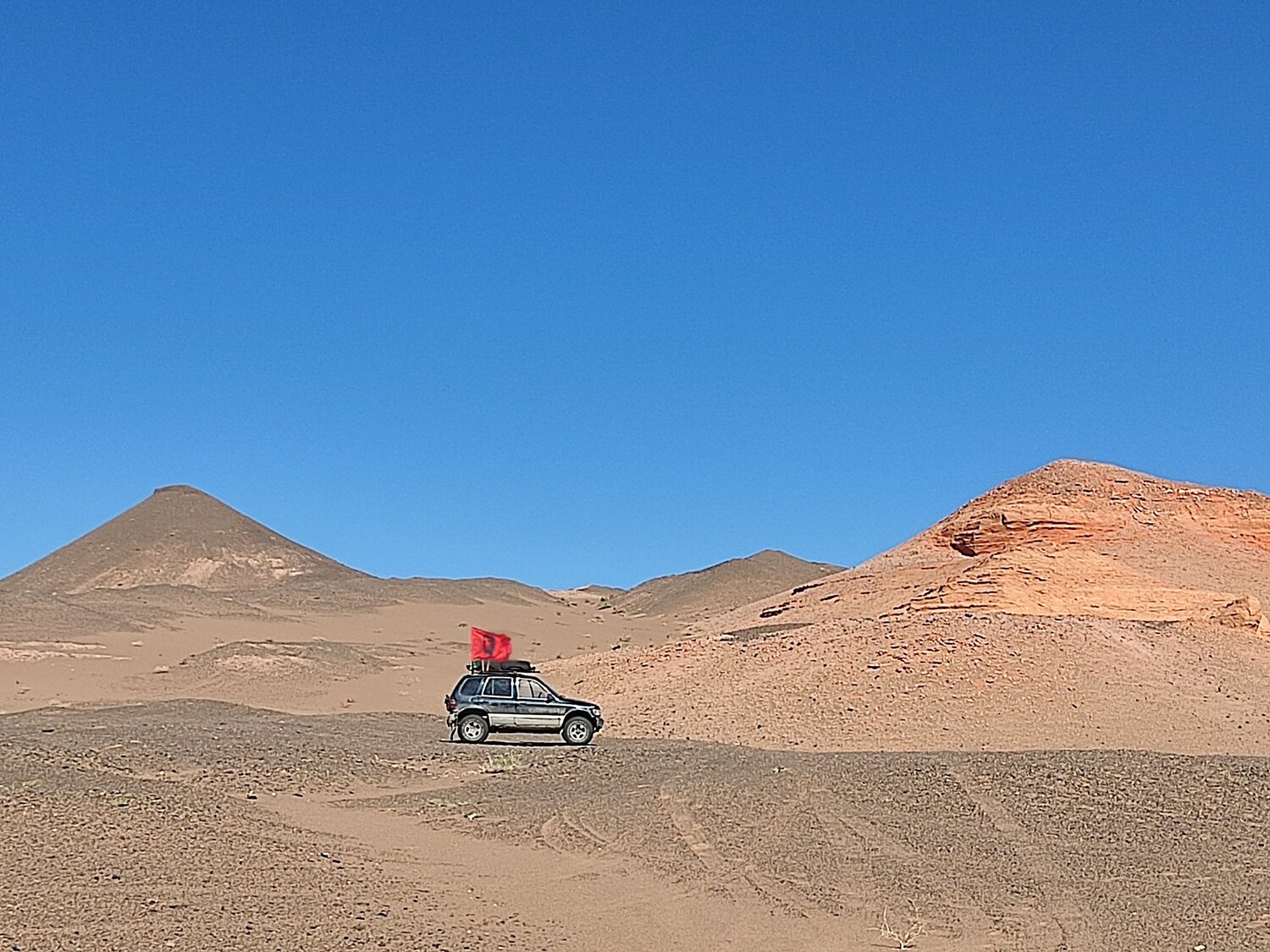 Photo #10832386