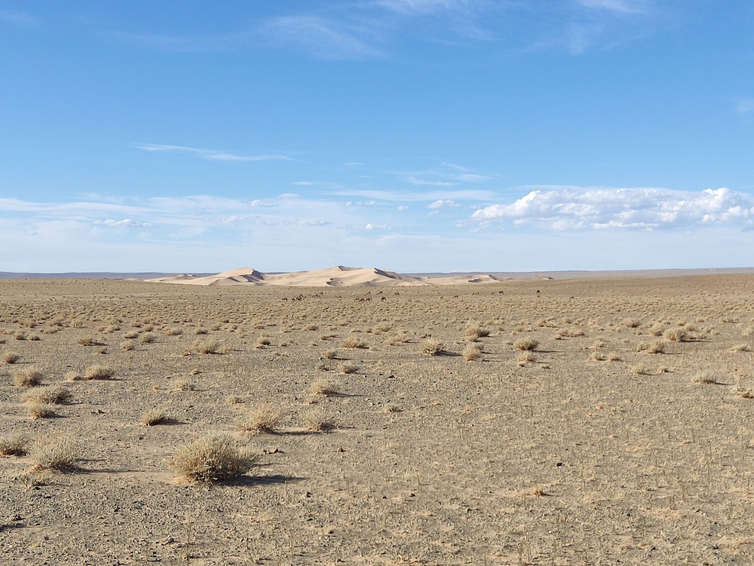Photo #10832389
