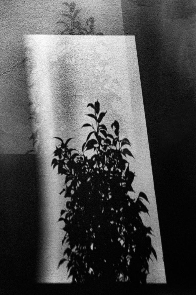 Фотография автора Minja Jovetic