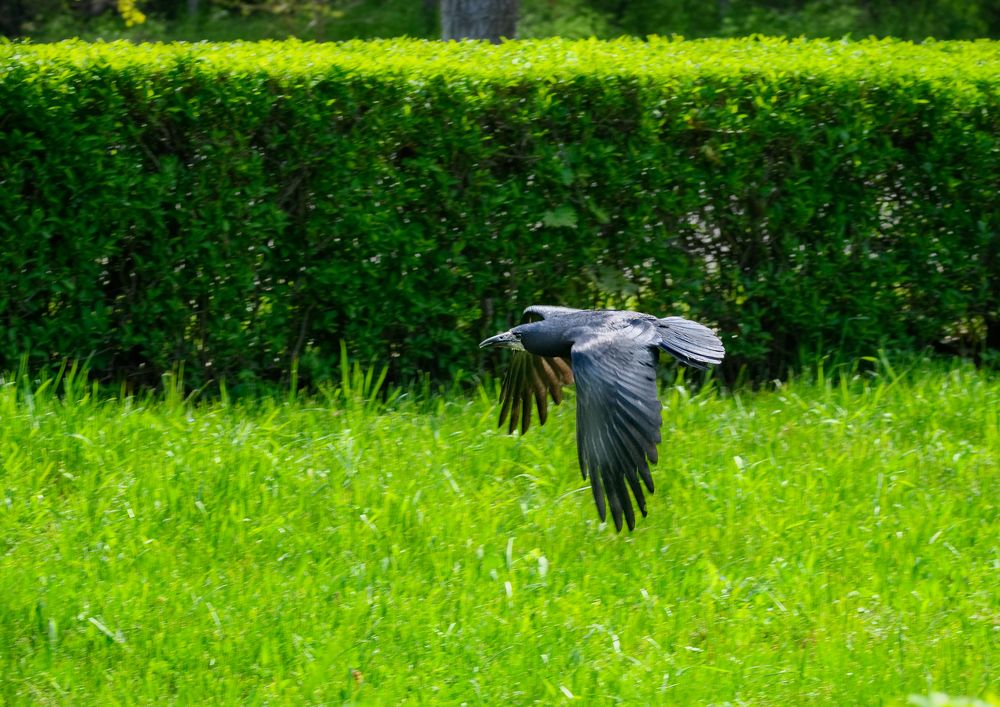 Photograph by Владимир Кваша