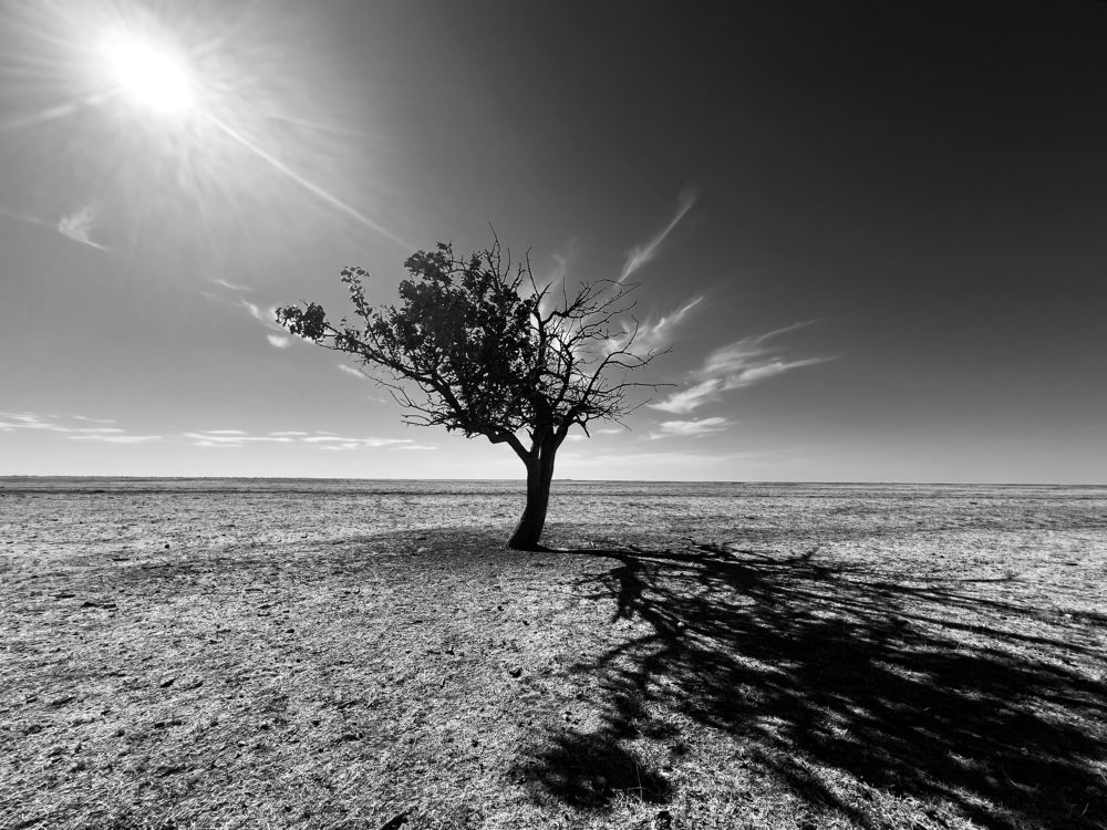 Photograph by Роман Колодяжный