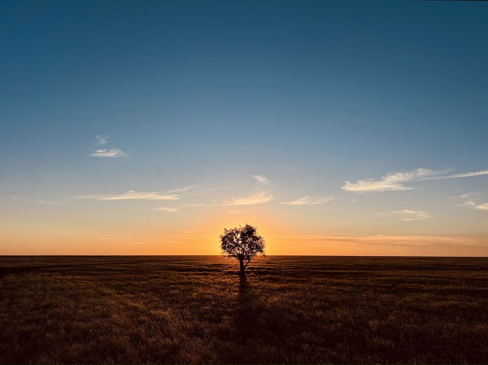 Photograph by Роман Колодяжный