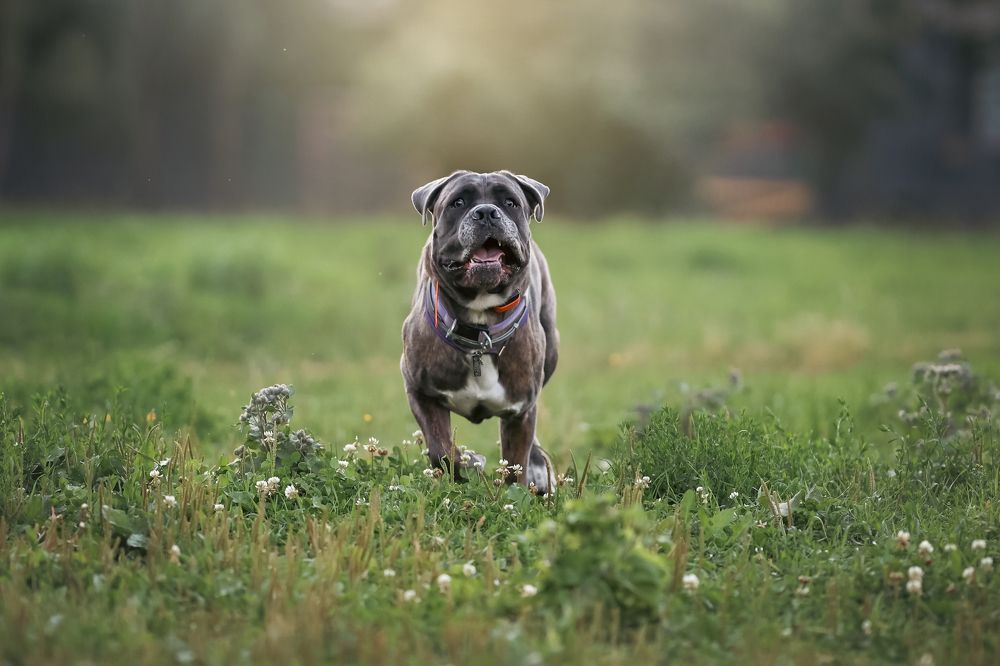 Photograph by Мария Романова