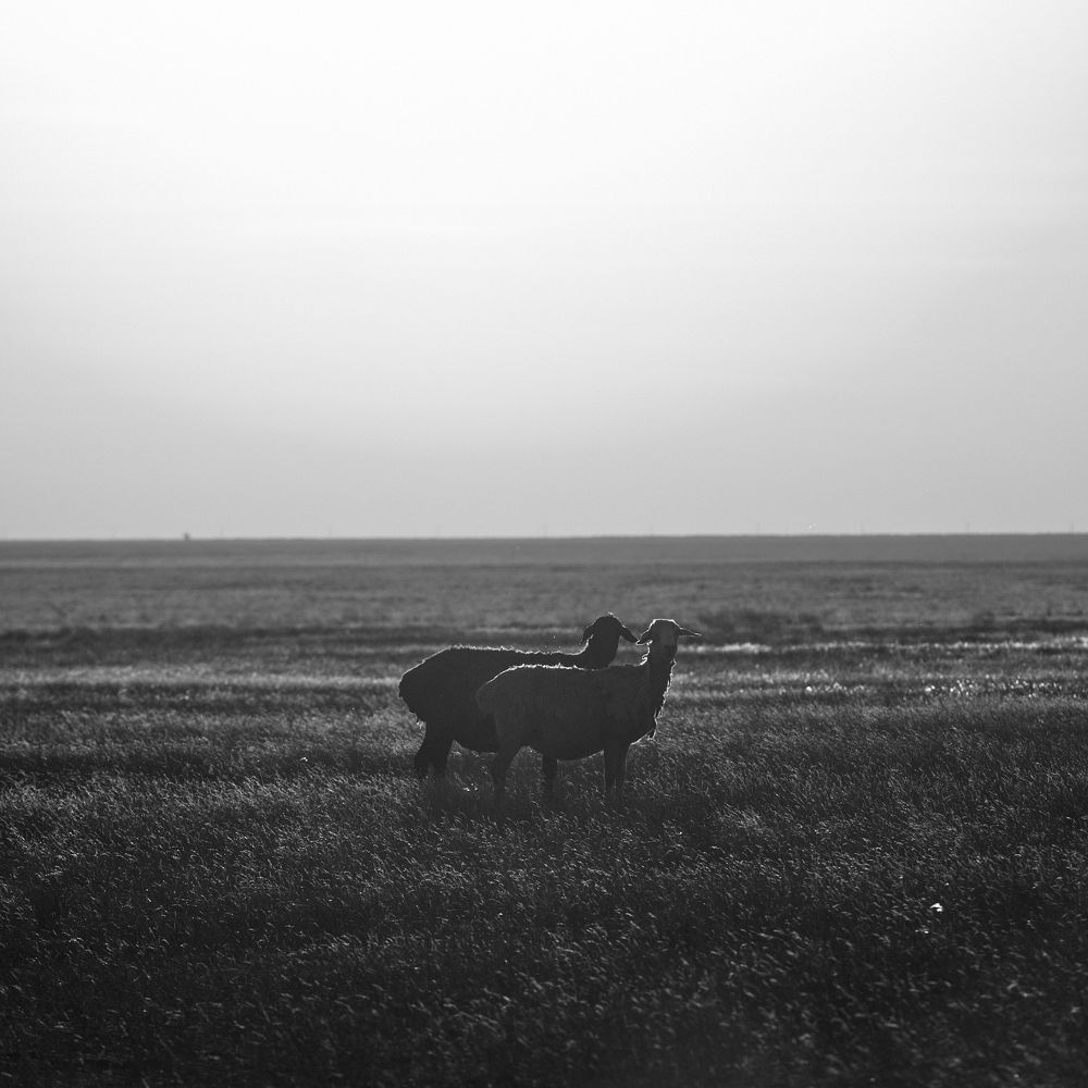 Photograph by Роман Колодяжный