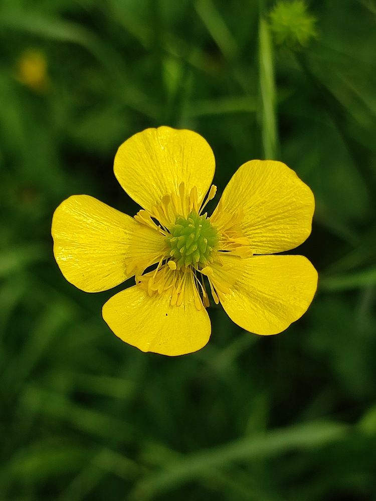 Photograph by Луиза Баширова