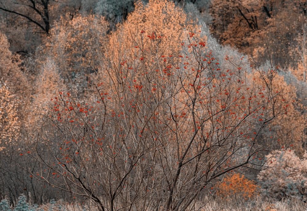 Photograph by  Дмитрий Михайлович