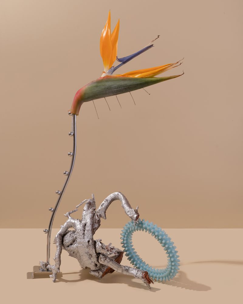 Photograph by Anastasia Vandalkovskaya