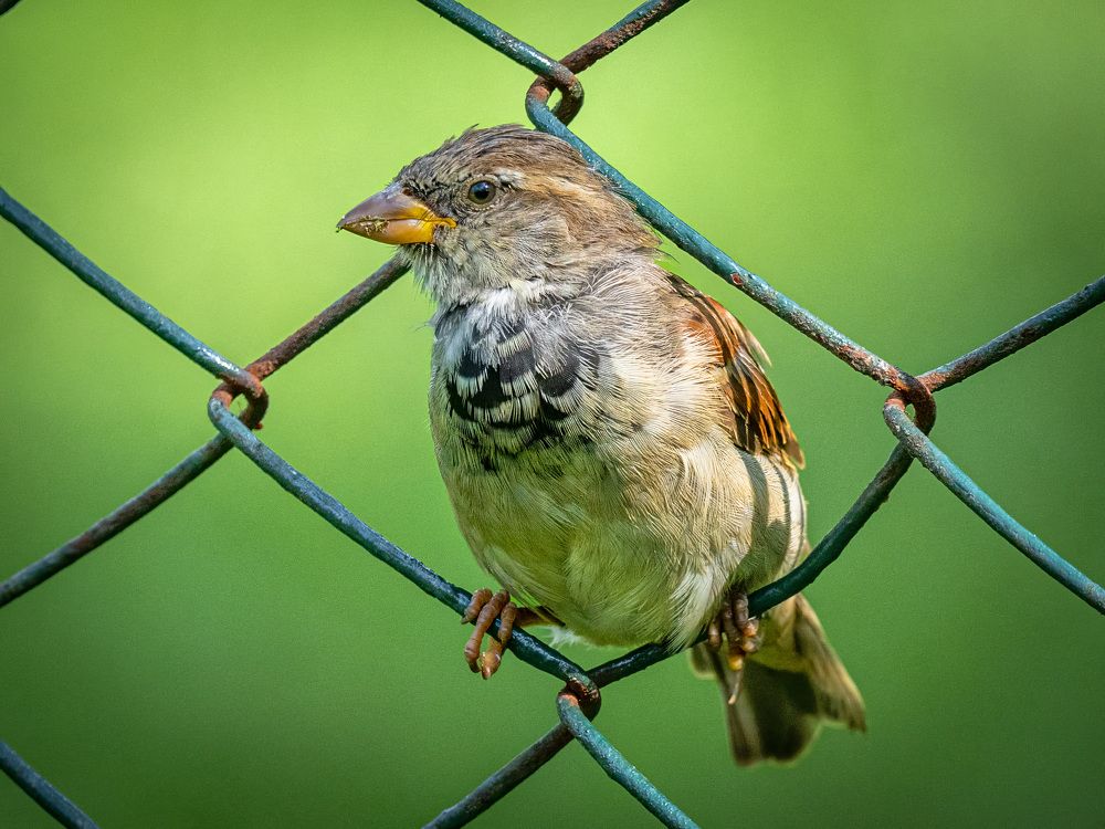 Photograph by Erik Nelson