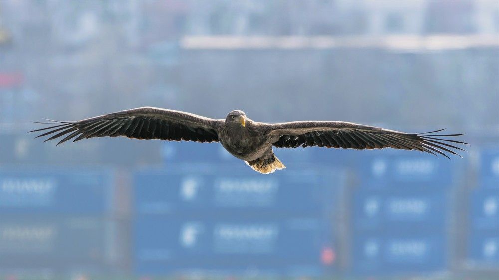 Photograph by константин