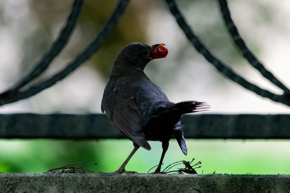 Photograph by Tatiana Alieva