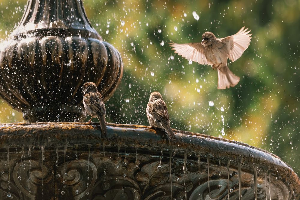 Photograph by Tatiana Alieva