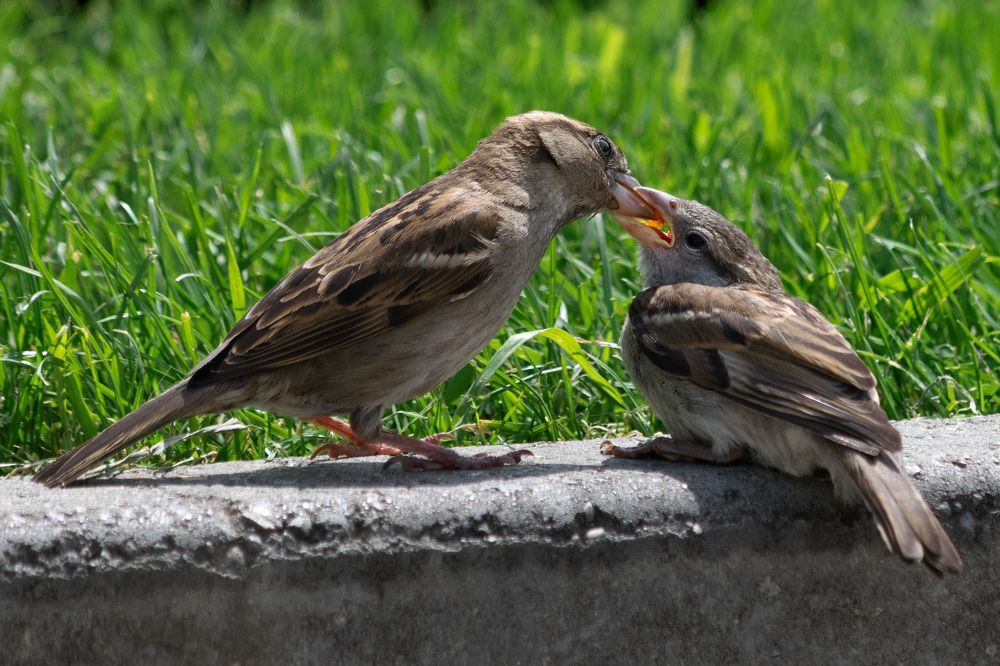 Photograph by Tatiana Alieva