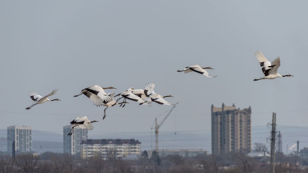 Photograph by константин