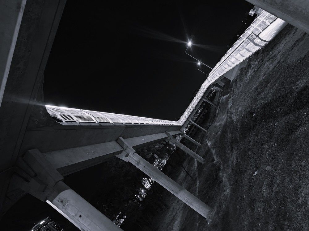 Photograph by Patricia Delionardis