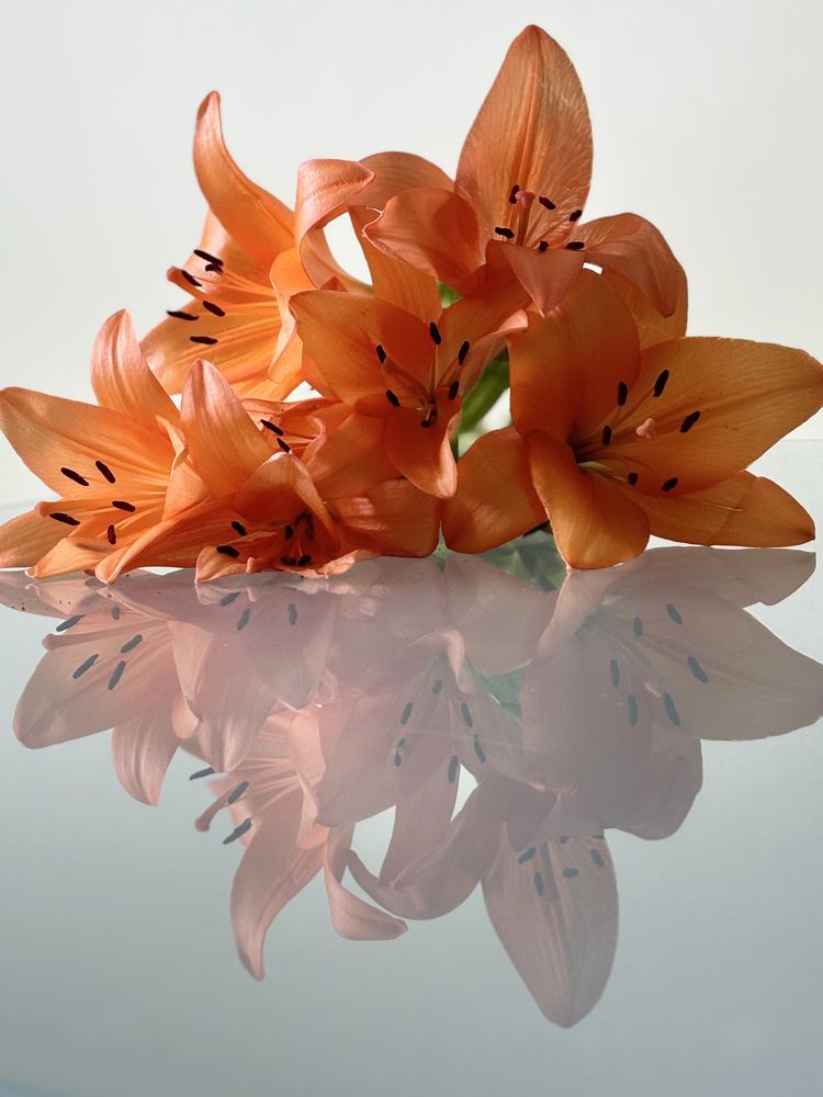 Photograph by Liliana Grup