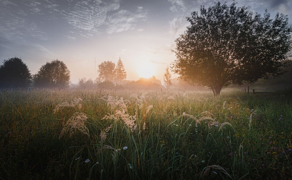 На рассвете...