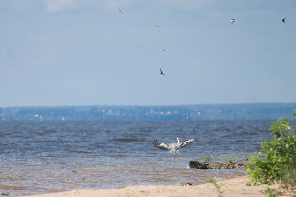 Photograph by Дарья Улюсова