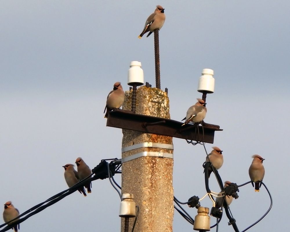 Photograph by Наталья Соколова