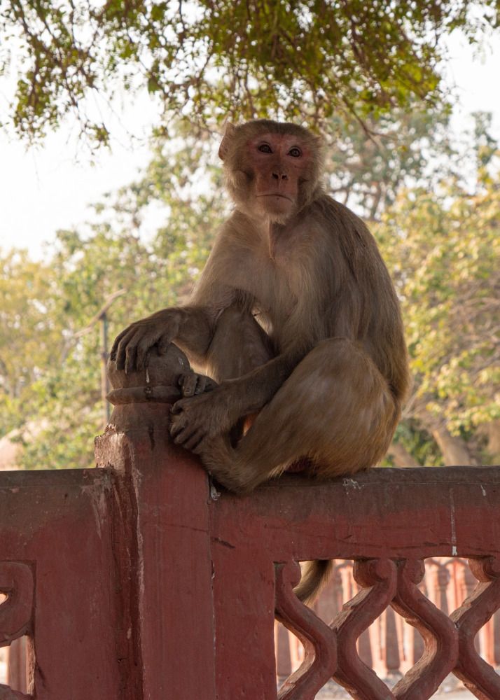 Photograph by Анна Васильева