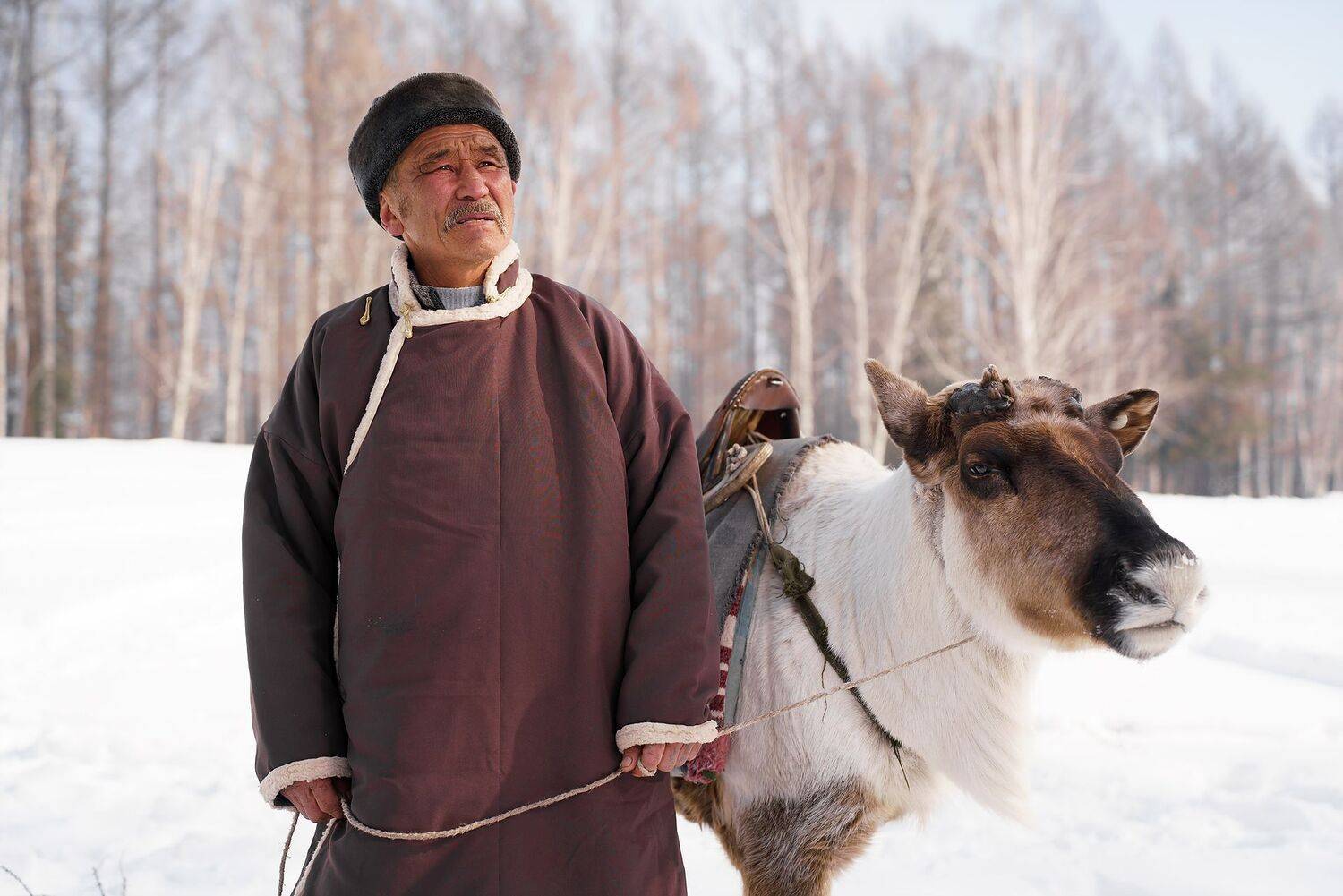 Фотография #10833069