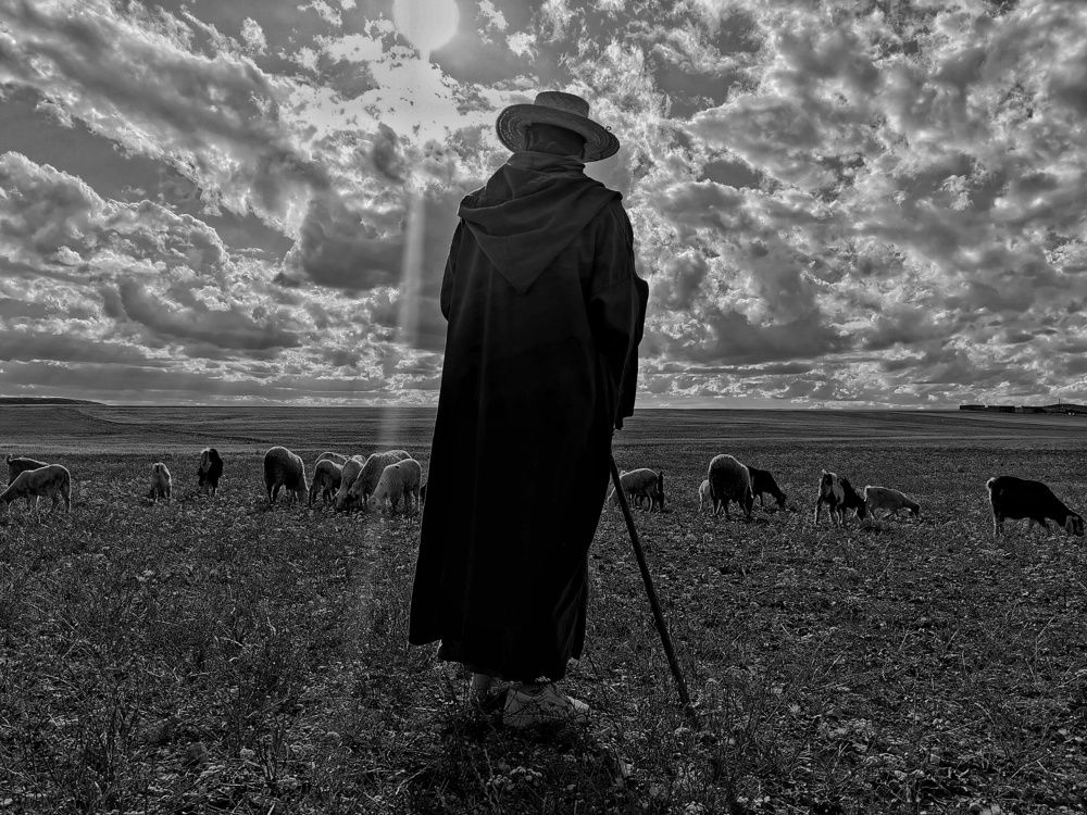 Photograph by Azzeddine Memmou