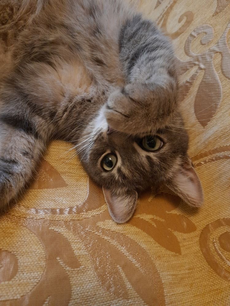 Photograph by Татьяна